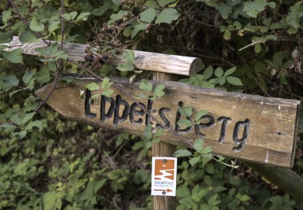 Eppelsberg bord, © Kappest/VG Pellenz Eppelsberg bord, © Kappest/VG Pellenz