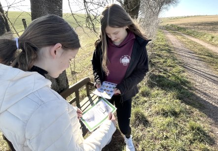 Kinder beim Wander-Bingo, © Tourist-Information Bitburger Land Kinder beim Wander-Bingo, © Tourist-Information Bitburger Land