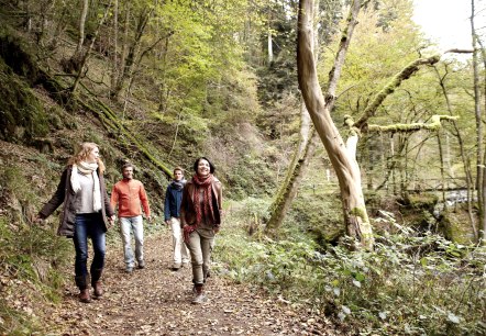 Randonneurs sur le chemin de la pleine conscience, © GesundLand Vulkaneifel, Marco Rothbrust Randonneurs sur le chemin de la pleine conscience, © GesundLand Vulkaneifel, Marco Rothbrust