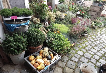 Außenansicht im Herbst, © Café Zeit Außenansicht im Herbst, © Café Zeit