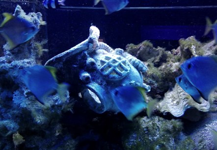 Aquarium, © Deutsch Luxemburgische Tourist Info Aquarium, © Deutsch Luxemburgische Tourist Info