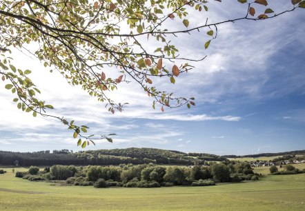 Vue sur le Maar, © Natur und Geopark Vulkaneifel Vue sur le Maar, © Natur und Geopark Vulkaneifel