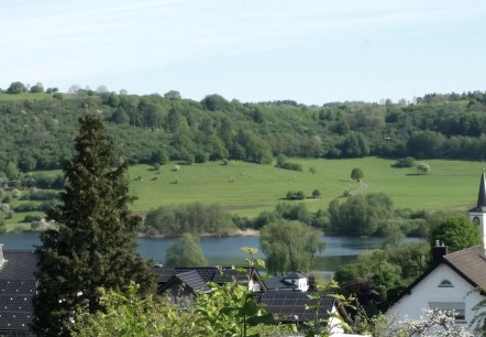Weiter Blick vom Wohnraum auf die Maarhöhen Weiter Blick vom Wohnraum auf die Maarhöhen
