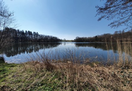 Das Holzmaar, © GesundLand Vulkaneifel GmbH Das Holzmaar, © GesundLand Vulkaneifel GmbH