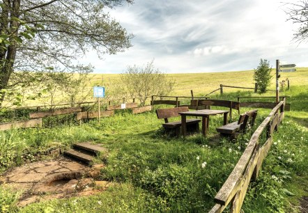 Aire de pique-nique au Steffelner Drees, © Eifel Tourismus GmbH, Dominik Ketz Aire de pique-nique au Steffelner Drees, © Eifel Tourismus GmbH, Dominik Ketz