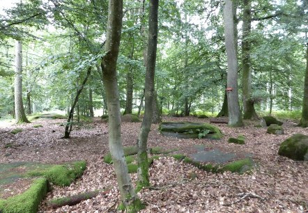 Die sogenannten Kiesgräber - römische Brandgräber, © Felsenland Südeifel Tourismus GmbH Die sogenannten Kiesgräber - römische Brandgräber, © Felsenland Südeifel Tourismus GmbH