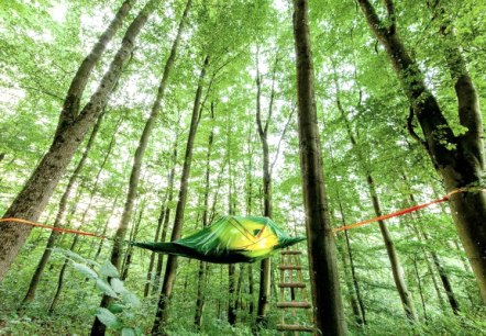 Baumzeltübernachtung "Träumen in den Bäumen"
EifelAdventures, Berlingen Baumzeltübernachtung "Träumen in den Bäumen"
EifelAdventures, Berlingen