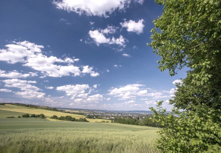 Uitzicht op Plaidt, © Kappest / VG Pellenz Uitzicht op Plaidt, © Kappest / VG Pellenz