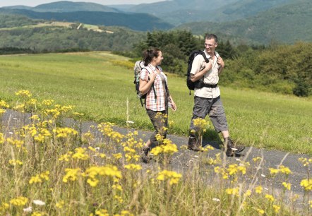 Wandern im Sommer, © Ahrtaltourismus e.V. Wandern im Sommer, © Ahrtaltourismus e.V.