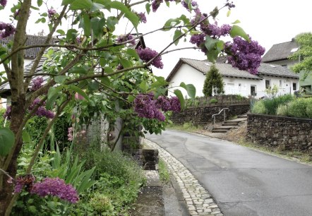 Vue de la maison depuis la rue Vue de la maison depuis la rue