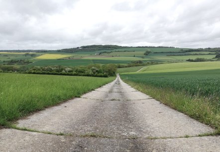 chemin de terre Fusenich, © Nicole Zimmer chemin de terre Fusenich, © Nicole Zimmer