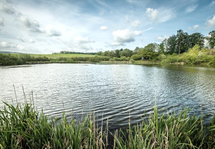 ET-2019-371-Vulcanpfad, Eichholzmaar, © Eifel Tourismus GmbH, Dominik Ketz ET-2019-371-Vulcanpfad, Eichholzmaar, © Eifel Tourismus GmbH, Dominik Ketz