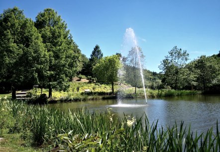Kurpark Wasserfontäne, © GesundLand Vulkaneifel GmbH Kurpark Wasserfontäne, © GesundLand Vulkaneifel GmbH