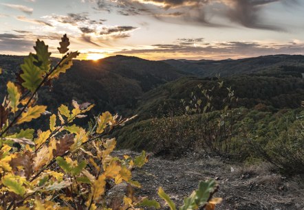 Sonnenuntergang am Nitzblick, © Foto: Laura Rinneburger, Quelle: Touristik-Büro Vordereifel Sonnenuntergang am Nitzblick, © Foto: Laura Rinneburger, Quelle: Touristik-Büro Vordereifel