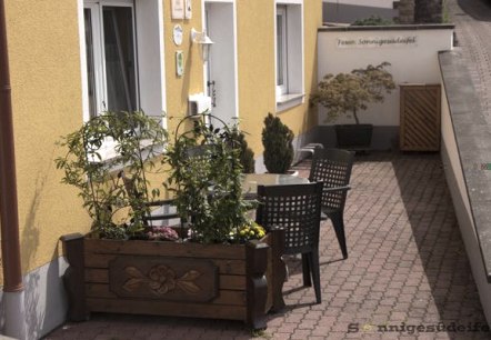 Terrasse / espace extérieur Terrasse / espace extérieur