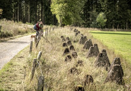 Panzersperren an der Eifelspur Westwall, © Eifel Tourismus GmbH, Dominik Ketz - finanziert durch REACT-EU Panzersperren an der Eifelspur Westwall, © Eifel Tourismus GmbH, Dominik Ketz - finanziert durch REACT-EU