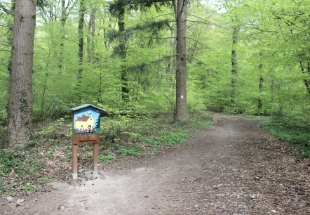 Pad, © Schote/Vulkanregion Laacher See Pad, © Schote/Vulkanregion Laacher See