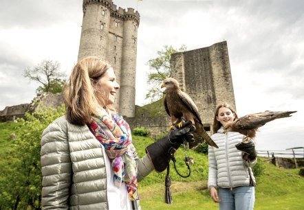 Greifvögel ganz nah, Adler- und Wolfspark, © Eifel Tourismus GmbH, Dominik Ketz Greifvögel ganz nah, Adler- und Wolfspark, © Eifel Tourismus GmbH, Dominik Ketz