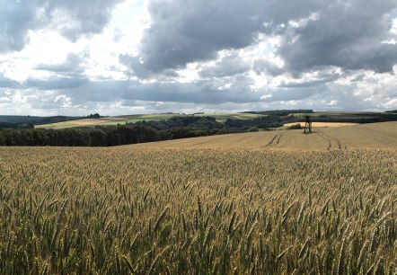 Muurspoor Weidingen, © Naturpark Südeifel, Volker Teuschler Muurspoor Weidingen, © Naturpark Südeifel, Volker Teuschler
