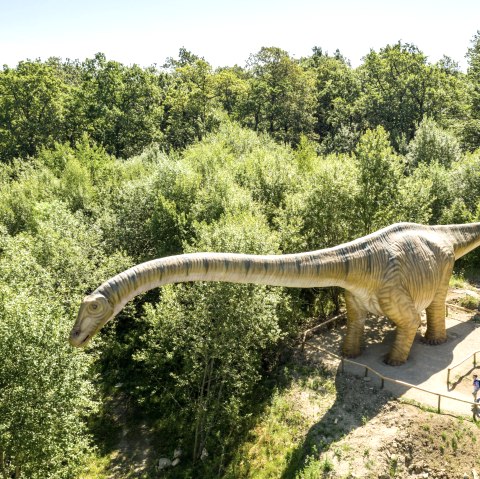 Dinosaurierpark Teufelsschlucht in der Eifel, © Felsenland Südeifel, D. Ketz