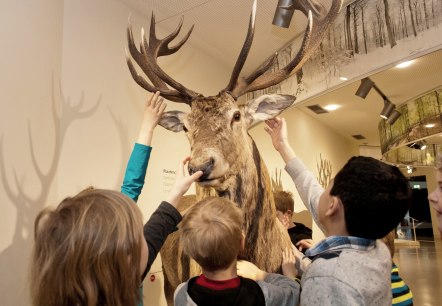 Ausstellung Wildnis(t)räume im Nationalparkzentrum Eifel, © Roman Hövel Ausstellung Wildnis(t)räume im Nationalparkzentrum Eifel, © Roman Hövel