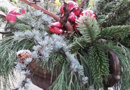 Winterimpressionen, © Marion Wamig Winterimpressionen, © Marion Wamig
