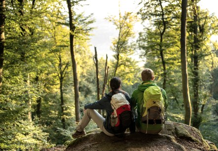Herbst im NaturWanderPark delux, © Eifel Tourismus GmbH, D. Ketz Herbst im NaturWanderPark delux, © Eifel Tourismus GmbH, D. Ketz