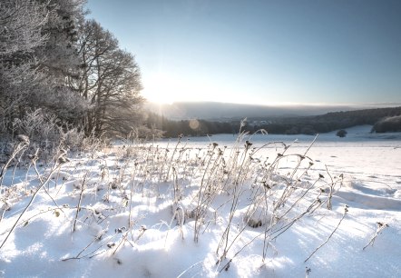 Winterliche Eifel, © Rheinland-Pfalz Tourismus GmbH, D. Ketz Winterliche Eifel, © Rheinland-Pfalz Tourismus GmbH, D. Ketz