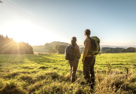 Soleil d'automne lors d'une randonnée autour du Hochkelberg, © Eifel Tourismus GmbH, D. Ketz Soleil d'automne lors d'une randonnée autour du Hochkelberg, © Eifel Tourismus GmbH, D. Ketz