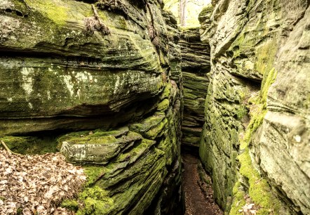 ET-2023-173-Bollendorf_Lauschtour_Grune_Holle-Eifel_Tourismus_GmbH_Dominik_Ketz, © Eifel Tourismus GmbH, Dominik Ketz ET-2023-173-Bollendorf_Lauschtour_Grune_Holle-Eifel_Tourismus_GmbH_Dominik_Ketz, © Eifel Tourismus GmbH, Dominik Ketz