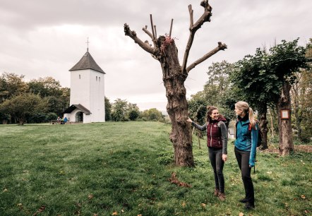 Blick auf Swister Turm, EifelSpur zwischen Ville und Eifel, © Paul Meixner Blick auf Swister Turm, EifelSpur zwischen Ville und Eifel, © Paul Meixner
