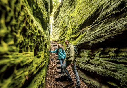 Felsen in der Grünen Hölle, Audiotour Grüne Hölle, © Eifel Tourismus GmbH, Dominik Ketz Felsen in der Grünen Hölle, Audiotour Grüne Hölle, © Eifel Tourismus GmbH, Dominik Ketz