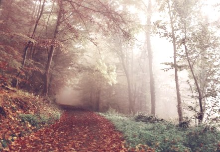 Herbstzeit, © Hotel-Rest. Zum Goldenen Grund Herbstzeit, © Hotel-Rest. Zum Goldenen Grund