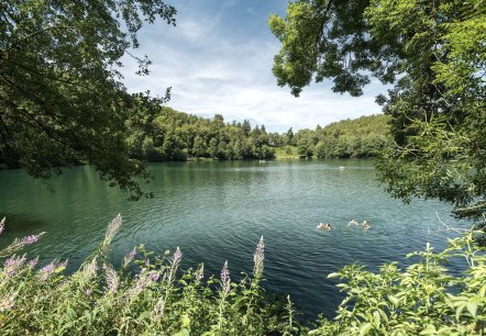 Schwimmen im Naturfreibad Gemündener Maar, © Rheinland-Pfalz Tourismus GmbH, D. Ketz Schwimmen im Naturfreibad Gemündener Maar, © Rheinland-Pfalz Tourismus GmbH, D. Ketz