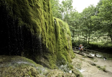 Kalkeifel cycle path: the Nohn waterfall is worth a stopover, © Rheinland-Pfalz Tourismus GmbH/D. Ketz Kalkeifel cycle path: the Nohn waterfall is worth a stopover, © Rheinland-Pfalz Tourismus GmbH/D. Ketz