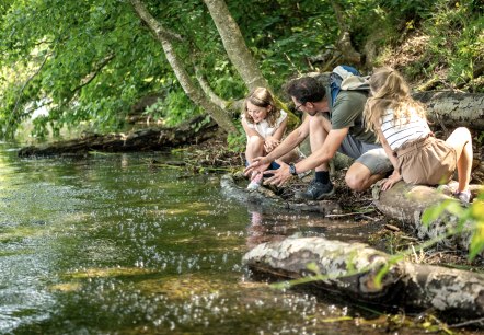 Wandern am Laacher See , © Eifel Tourismus GmbH, Dominik Ketz Wandern am Laacher See , © Eifel Tourismus GmbH, Dominik Ketz