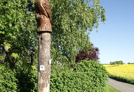 Wiesbachtalweg in Weiler/ Eifel, © Laura Rinneburger Wiesbachtalweg in Weiler/ Eifel, © Laura Rinneburger