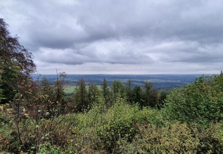Vulkanische Eifel, © Gesundland Vulkaneifel GmbH Vulkanische Eifel, © Gesundland Vulkaneifel GmbH