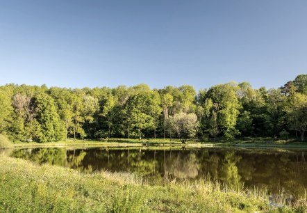 Windsborn Kratersee, © GesundLand Vulkaneifel GmbH/D. Ketz Windsborn Kratersee, © GesundLand Vulkaneifel GmbH/D. Ketz