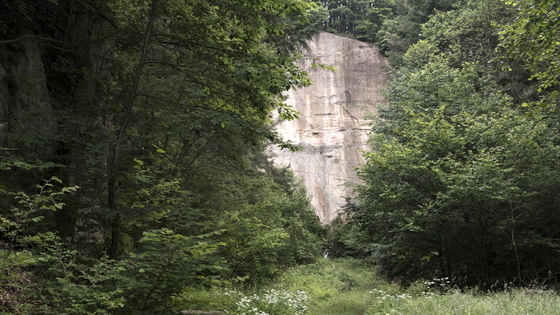 Tuffsteinwand am Tuffsteinweg - Geopfad Route O, © KP Kappest Tuffsteinwand am Tuffsteinweg - Geopfad Route O, © KP Kappest