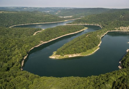 Blick auf den Urftsee im Nationalpark Eifel, © Eifel Tourismus GmbH, D. Ketz Blick auf den Urftsee im Nationalpark Eifel, © Eifel Tourismus GmbH, D. Ketz