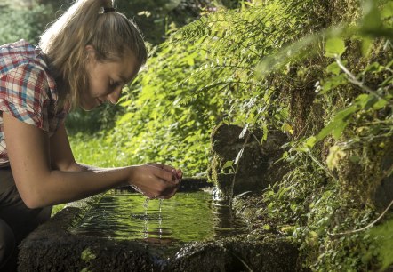 Maischquelle Wasser, © Natur- und Geopark Vulkaneifel/K.-P. Kappest Maischquelle Wasser, © Natur- und Geopark Vulkaneifel/K.-P. Kappest
