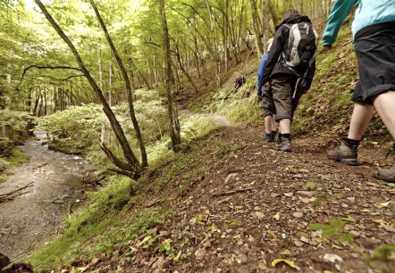 Wandeling, © Archiv GesundLand Vulkaneifel Wandeling, © Archiv GesundLand Vulkaneifel