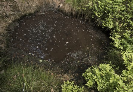 Kohlendioxidquelle Gelenberg, © Natur- und Geopark Vulkaneifel, KP Kappest Kohlendioxidquelle Gelenberg, © Natur- und Geopark Vulkaneifel, KP Kappest