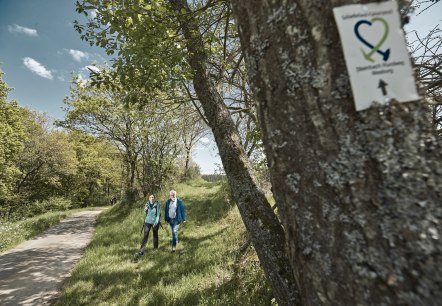 Wanderung entlang des Steinbach Rundweg Masburg, © Schieferland Kaisersesch, Marco Rothbrust Wanderung entlang des Steinbach Rundweg Masburg, © Schieferland Kaisersesch, Marco Rothbrust