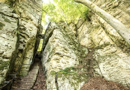 Natur Eifel: Teufelsschlucht im Naturpark Südeifel, © Rheinland-Pfalz Tourismus GmbH/D. Ketz Natur Eifel: Teufelsschlucht im Naturpark Südeifel, © Rheinland-Pfalz Tourismus GmbH/D. Ketz