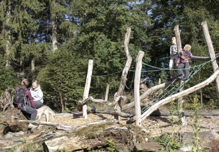 Walderlebnisparcours Kölschkier, Spinnennetz, © Eifel Tourismus GmbH, Tobias Vollmer - finanziert duch REACT-EU Walderlebnisparcours Kölschkier, Spinnennetz, © Eifel Tourismus GmbH, Tobias Vollmer - finanziert duch REACT-EU
