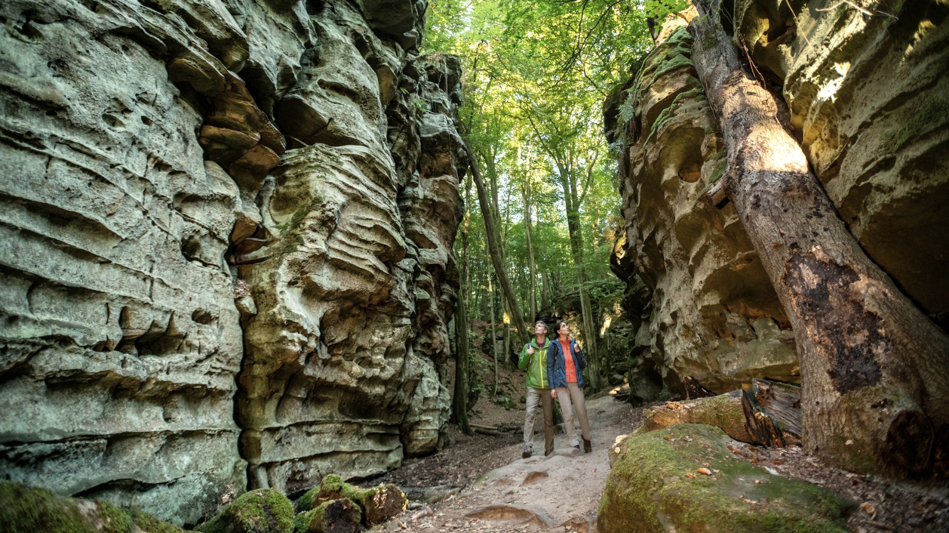 Felsenwege, © Eifel Tourismus, Dominik Ketz Felsenwege, © Eifel Tourismus, Dominik Ketz