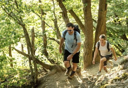 Waldpfad Etappe 5 AhrSteig, © Ahrtaltourismus, Dominik Ketz Waldpfad Etappe 5 AhrSteig, © Ahrtaltourismus, Dominik Ketz