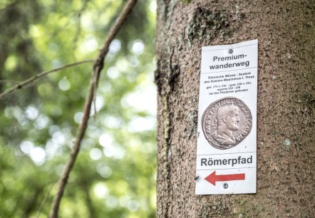 Roman trail through the Butzerbach valley, © Eifel Tourismus GmbH, D. Ketz Roman trail through the Butzerbach valley, © Eifel Tourismus GmbH, D. Ketz